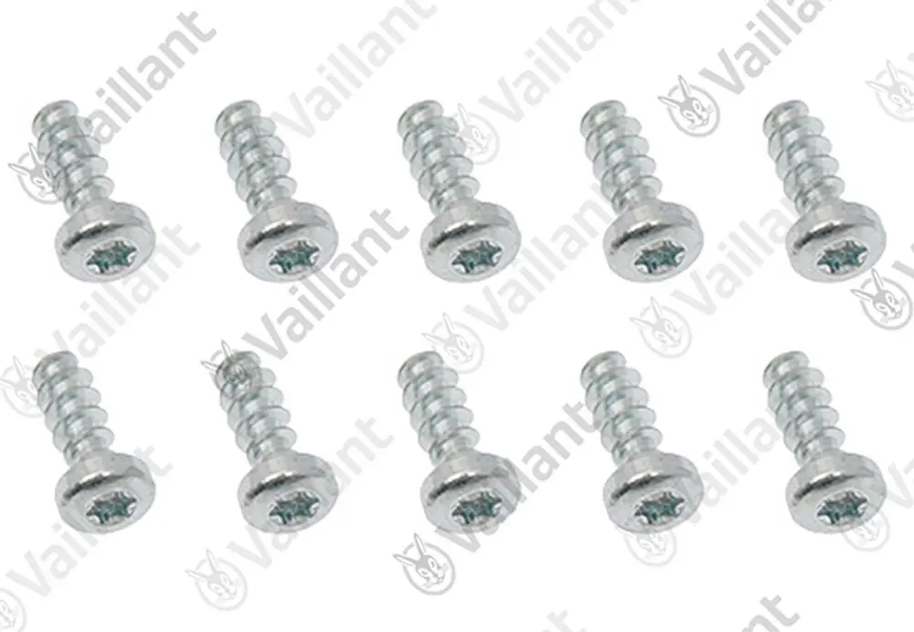 Stahl-Schrauben von Vaillant, Set mit zehn Stück, mit flachem Kopf und Innensechskant, zur Verwendung in verschiedenen Anwendungen.